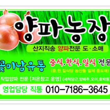 칼라스티커 90-50